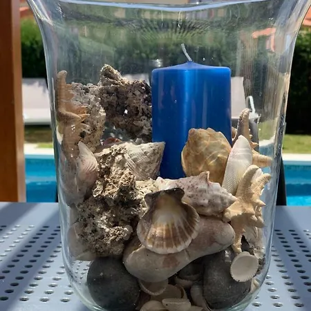 Lauvic * Cala en Bosch